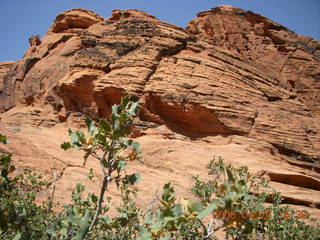 Snow Canyon - Hidden Pinyon trail