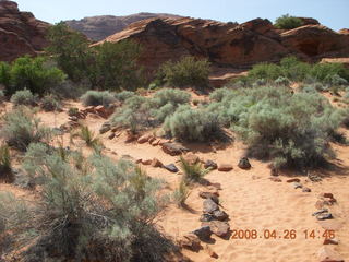 Snow Canyon - Hidden Pinyon trail