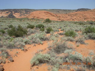 76 6gs. Snow Canyon - Hidden Pinyon trail