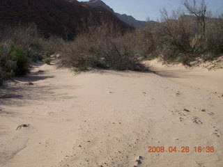 142 6gs. Snow Canyon - sandy Lava Flow trail