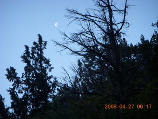 Zion National Park - Angels Landing hike - moon and trees