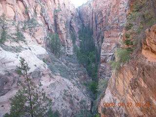 Zion National Park - Angels Landing hike - purple flowers