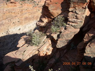 Zion National Park - Angels Landing hike - at the top