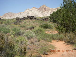 Snow Canyon - Butterfly trail