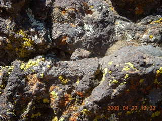 Snow Canyon - Lava Flow trail