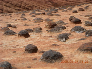 Snow Canyon - Butterfly trail