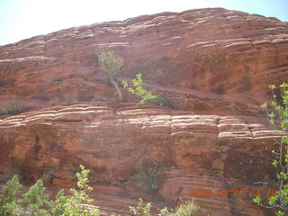 Snow Canyon - Petrified Dunes