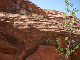 Snow Canyon - Petrified Dunes