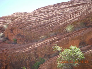 Snow Canyon - Petrified Dunes