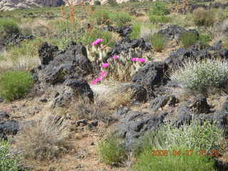 Snow Canyon - Lava Flow trail