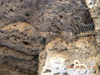 Snow Canyon - Lava Flow cave - flowers