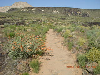 Snow Canyon - Lava Flow cave