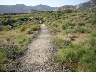 Snow Canyon - Butterfly trail