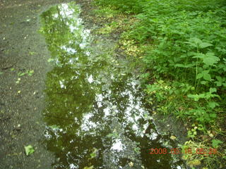 urban trail-running jungle - bumpy sidewalk