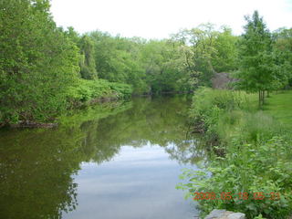 spring in Tookany Creek Park