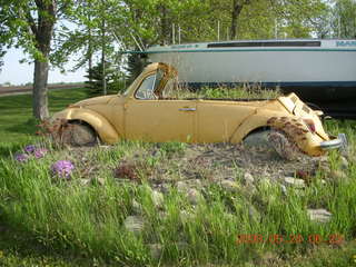 yellow VW superbeetle flowerpot