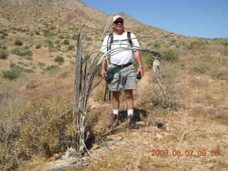 Windgate hike - saguaro skeleton with arthritis, Michael