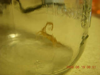 my preferred bluetooth earpiece