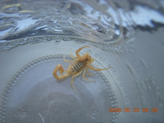 aerial - Pinnacle Peak with its summer-sunrise shadow