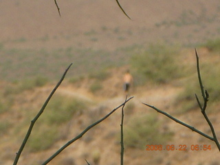 sunrise peak runner