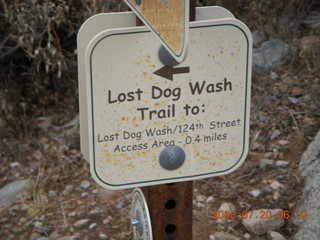 Lost Dog Wash - sign