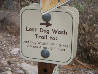 Lost Dog Wash - sign