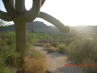 Pinnacle Peak runners