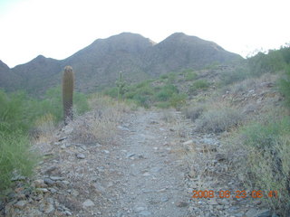 Lost Dog Wash run - giant gila-monster lizard