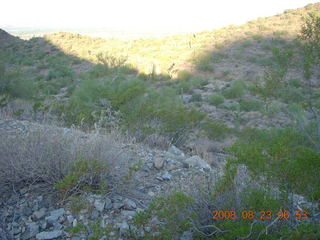 Lost Dog Wash run - giant gila-monster lizard