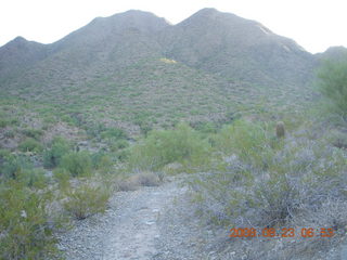 Lost Dog Wash run - giant gila-monster lizard