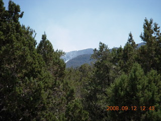 plant photo with Nikon Coolpix