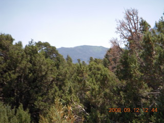 on the way to Pine Valley, Utah