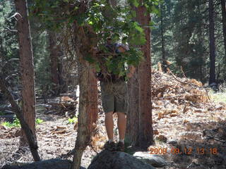 Dustin hiking at Pine Valley, Utah