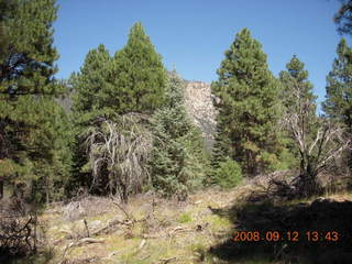 hiking at Pine Valley, Utah