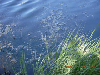 hiking at Pine Valley, Utah