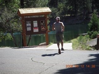 Dragonfly - hiking at Pine Valley, Utah