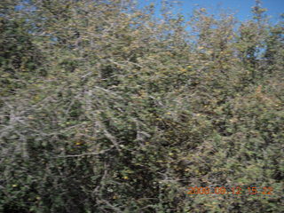 coming back from Pine Valley, Utah