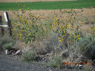 run from Kathe's and Reggie's place in Central, Utah