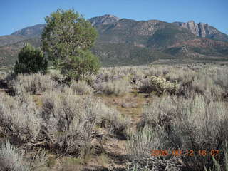 run from Kathe's and Reggie's place in Central, Utah