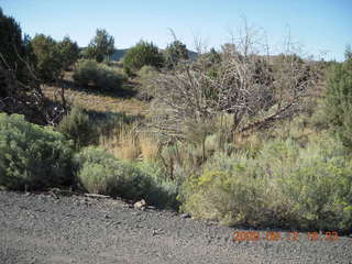 run from Kathe's and Reggie's place in Central, Utah