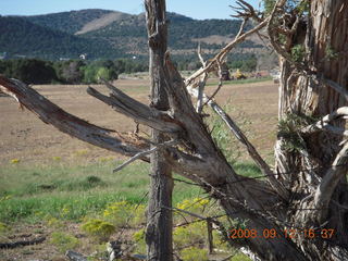 run from Kathe's and Reggie's place in Central, Utah