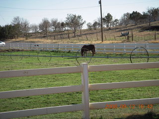 run from Kathe's and Reggie's place in Central, Utah