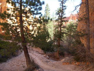 Bryce Canyon - Peek-A-Boo loop