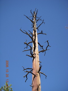 Bryce Canyon - Peek-A-Boo loop