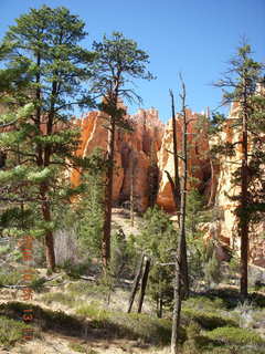 Bryce Canyon - Peek-A-Boo loop