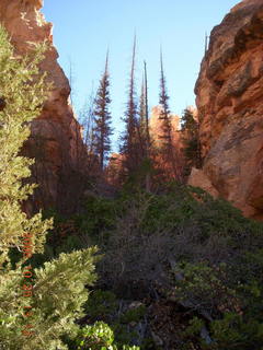 Bryce Canyon - Peek-A-Boo loop