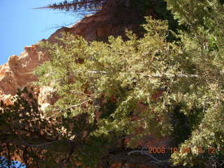 Bryce Canyon - Peek-A-Boo loop