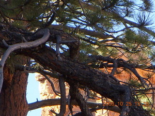 Bryce Canyon - Peek-A-Boo loop