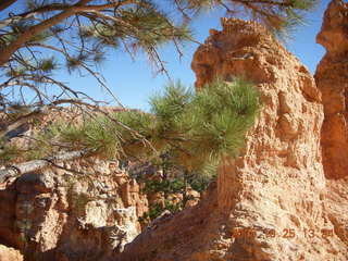 Bryce Canyon - Peek-A-Boo loop