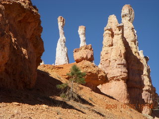 Bryce Canyon - Navajo loop trail